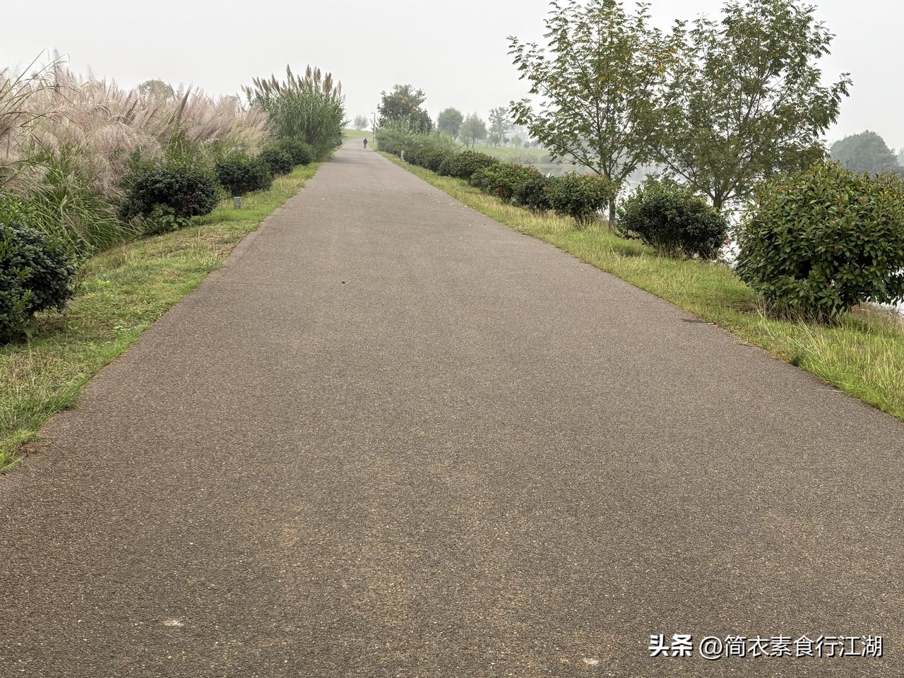 病房里的人世间（六）共吃一份盒饭的中年夫妻。

他们和我老公不是一个病房的，住隔