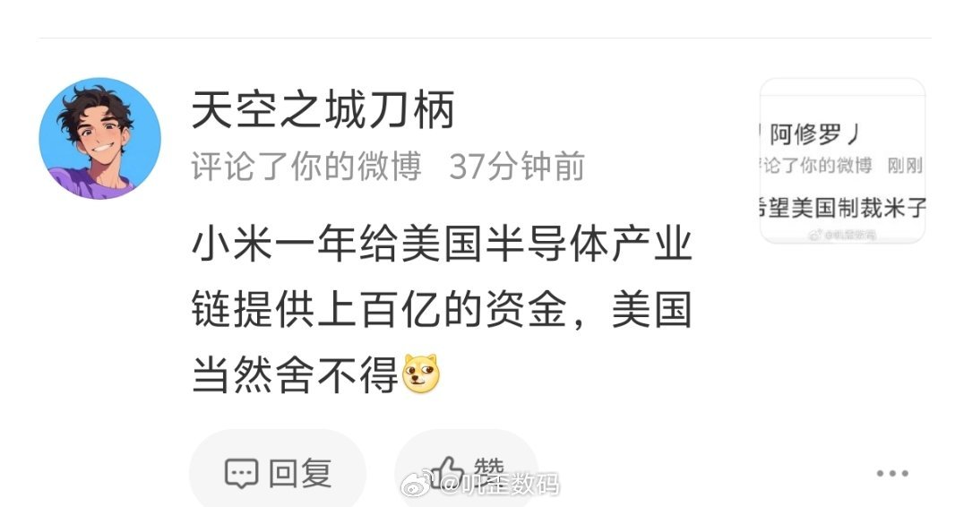 小米一年给美国半导体产业链提供上百亿的资金？想问一下，这是从何说起？依据是什么？