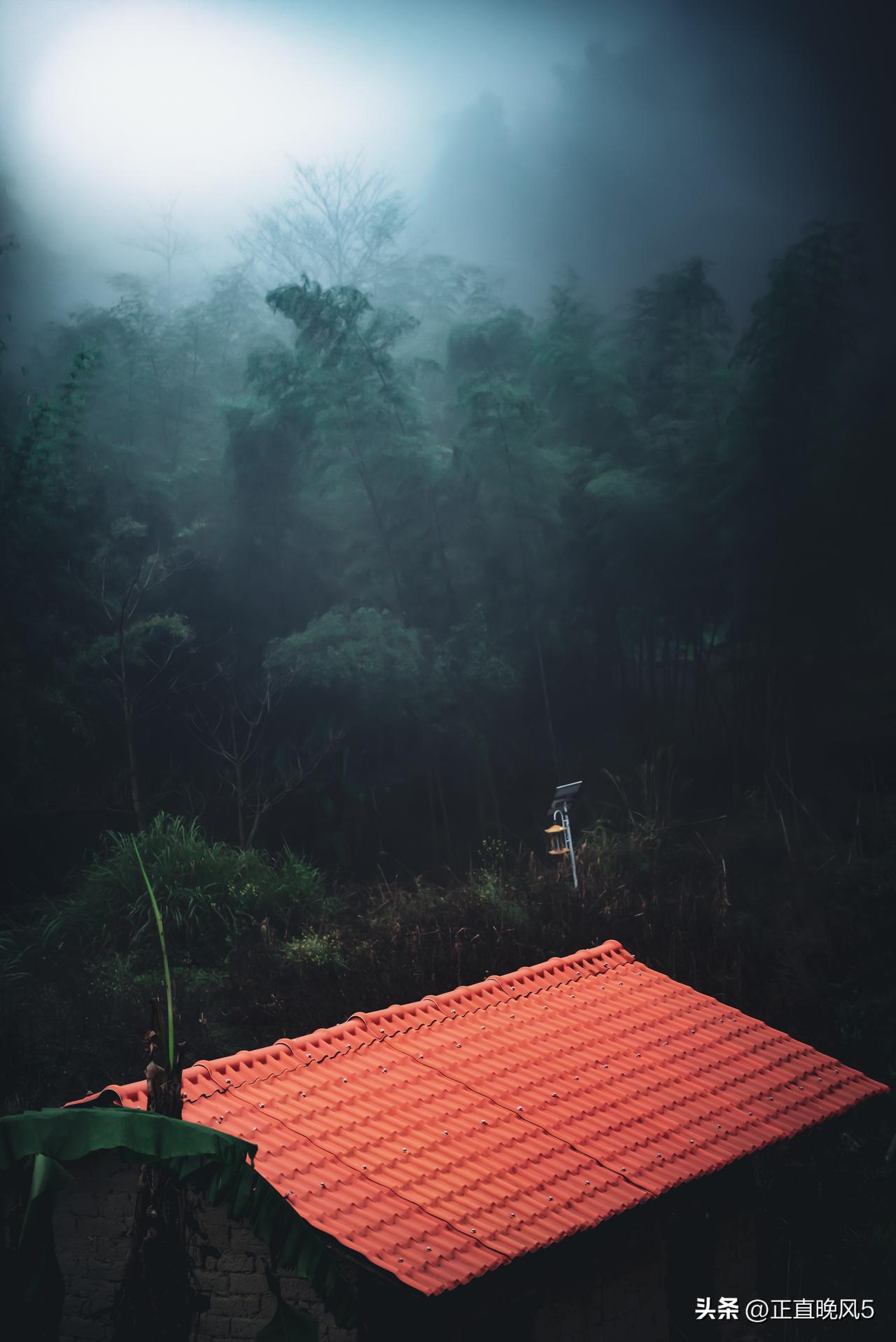 雾霭漫过青黛山峦，红屋顶像颗被雨打湿的草莓糖，在迷蒙中沁出温柔的甜。手机镜头竟能
