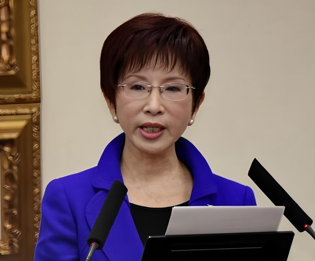 洪秀柱批：赖清德违宪滥权毫无羞愧  受害就是整个台湾社会

国民党前主席洪秀柱今