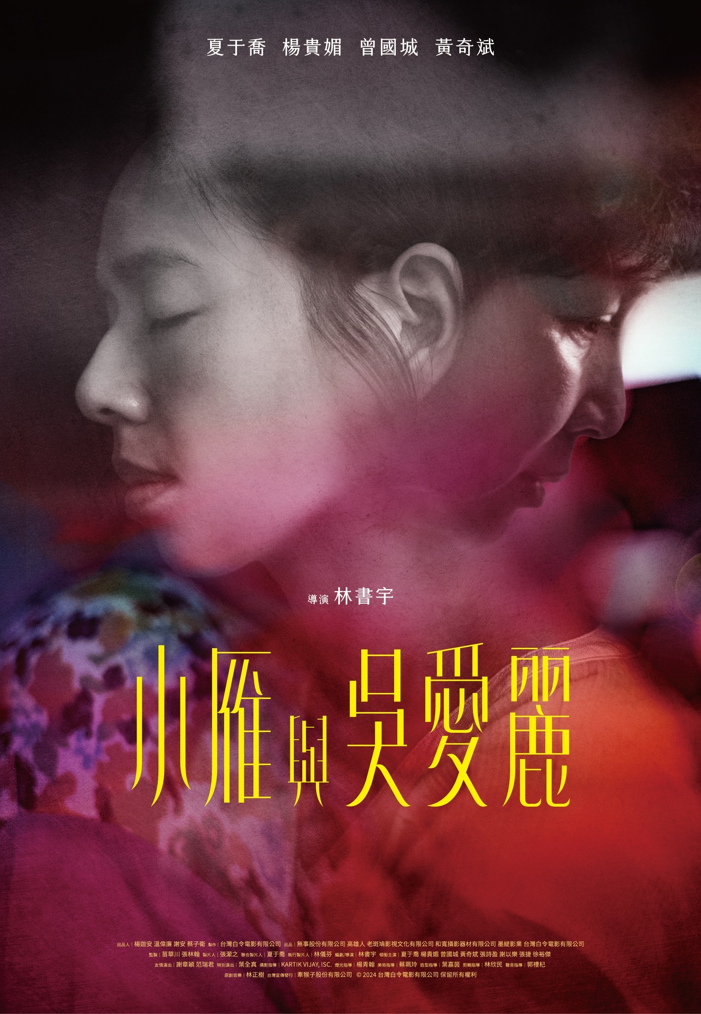 2025第16届两岸电影展将于6月6日~11日雅安、成都展映，台片片单公布：★女