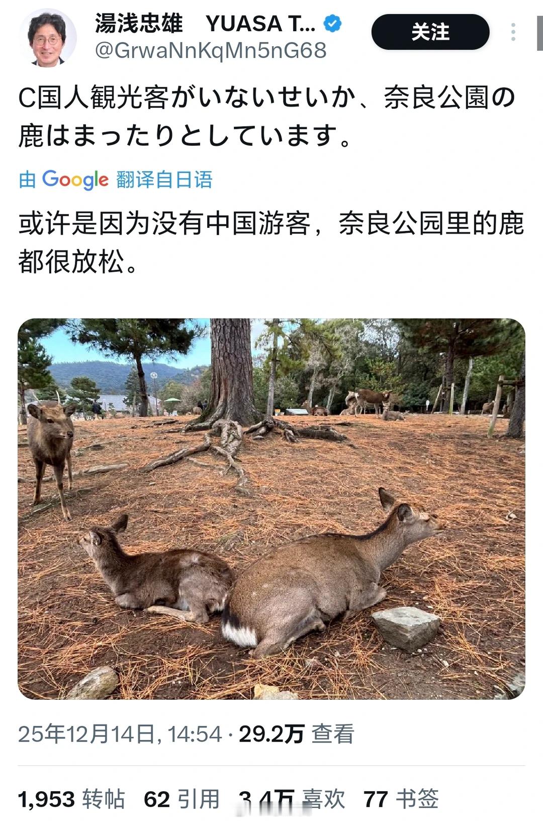 日本将不再有大熊猫 没事儿，没有大熊猫，还有奈良鹿啊~日本博主：或许是因为没有中