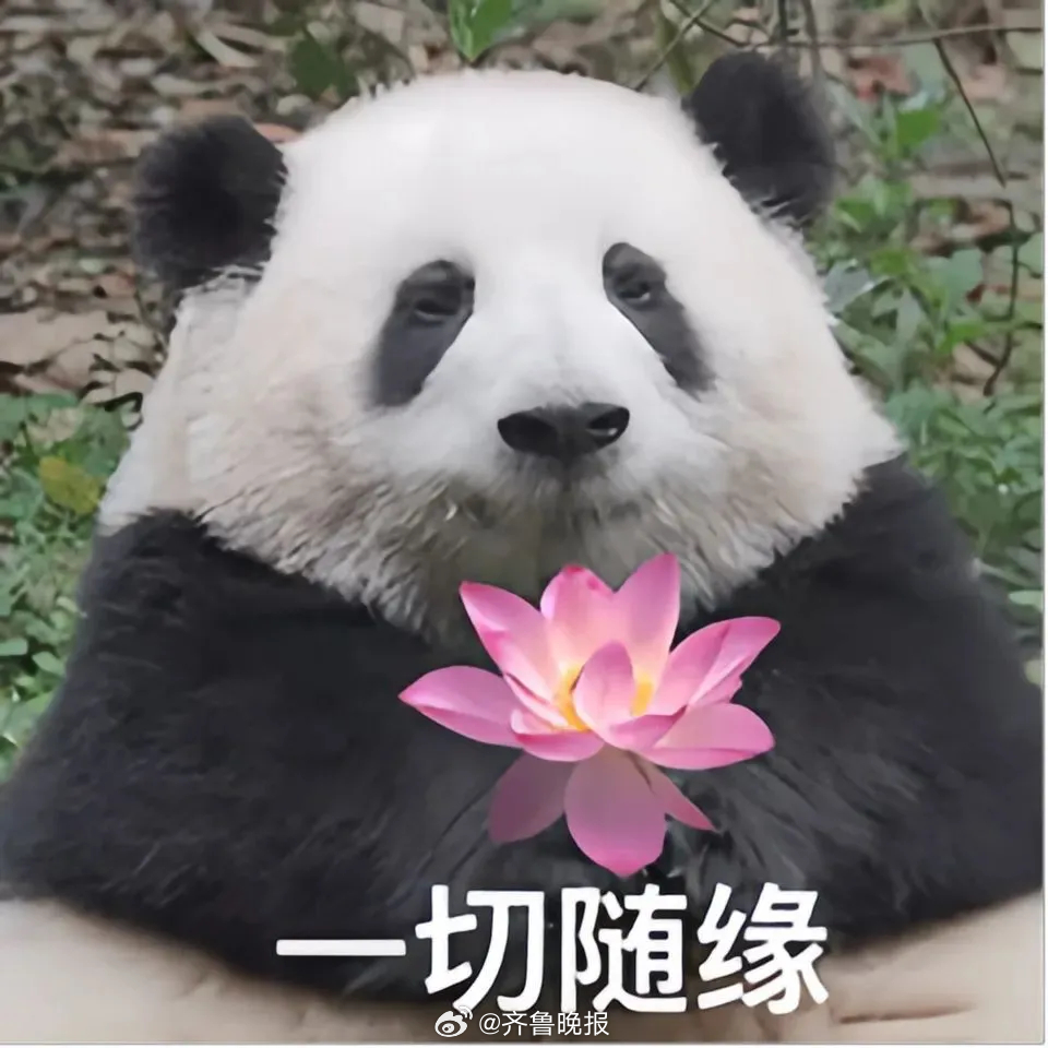 保持内心平和，学会与自己和解，懂得与世界温柔相处。#晚安# ​​​