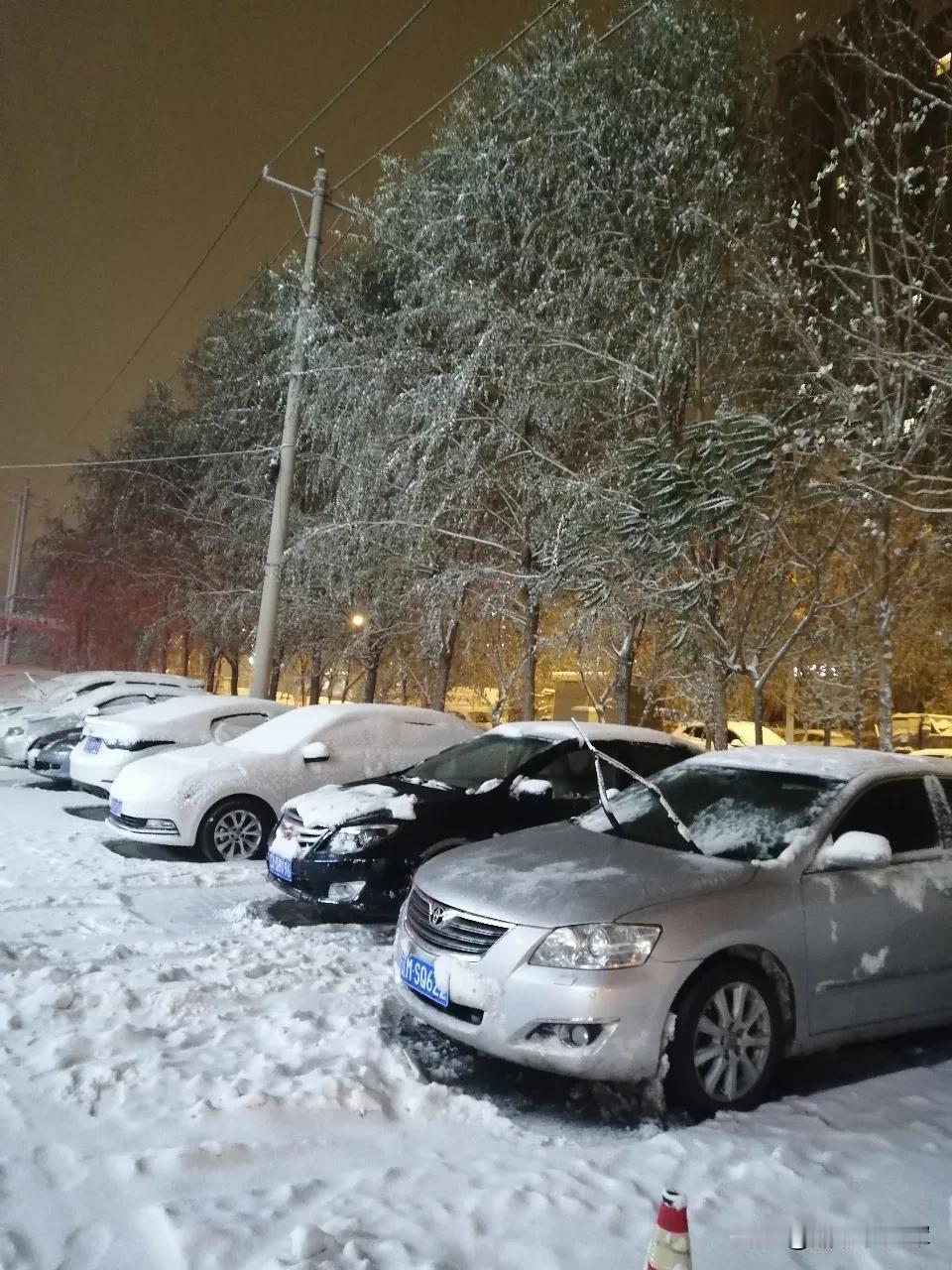 沈阳第一场雪好美