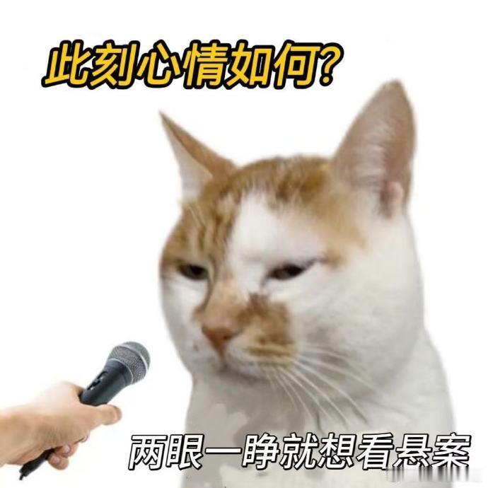 用世界杯的方式打开悬案悬案岳云鹏退场王传君登场奇妙联动感扑面而来，用看世界杯的心