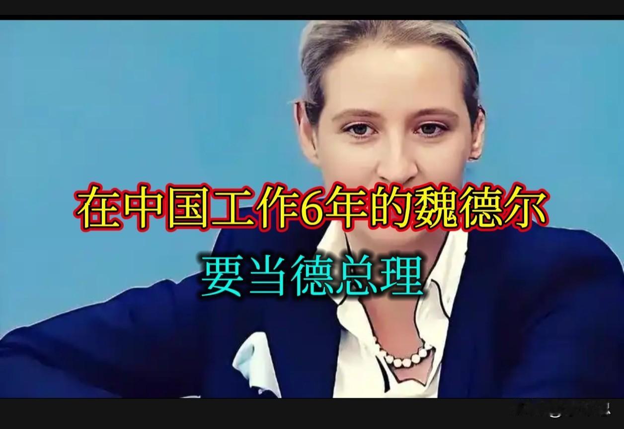 能说中国话，在中国银行工作过的爱丽丝·魏德尔，要当德国总理？

2026年9月6