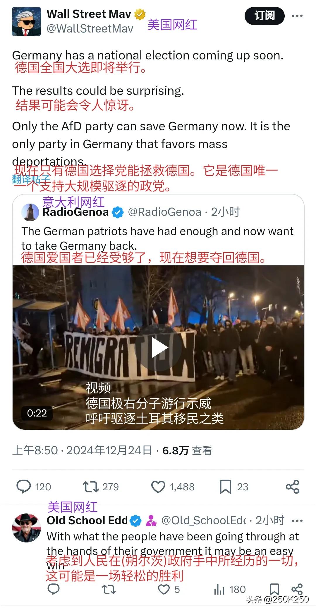 Twitter美国网红、意大利网红也卖力地为德国选择党(AfD)候选人爱丽丝.魏