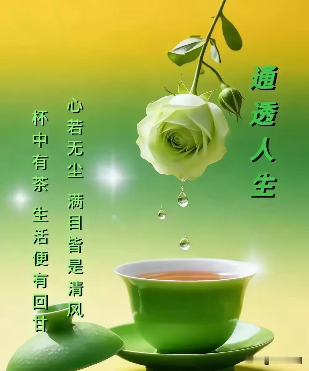 塞鸿秋·闲居自乐
浅斟清茗流年暇，
闲观风月度尘华。
清风绕案心无挂，
疏窗静影