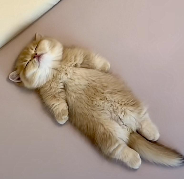 有的人天生不适合炒股。
我在头条上关注一个网友的炒股记录。
他每天下午15:30