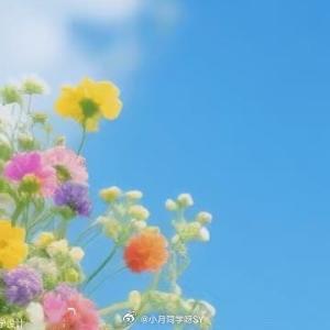早安心语 心有浅浅欢喜，眼有灼灼晨光，日子温柔万物晴朗阳光落在草地，好运落在身上