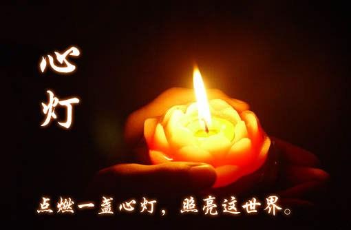 纠结别人的错，折磨自己的心

不要去争

越是争，心越累

越是怨，心越烦

越