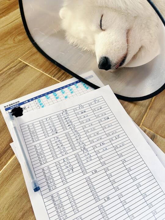 逼疯一个p人 只需要一天滴21次眼药水