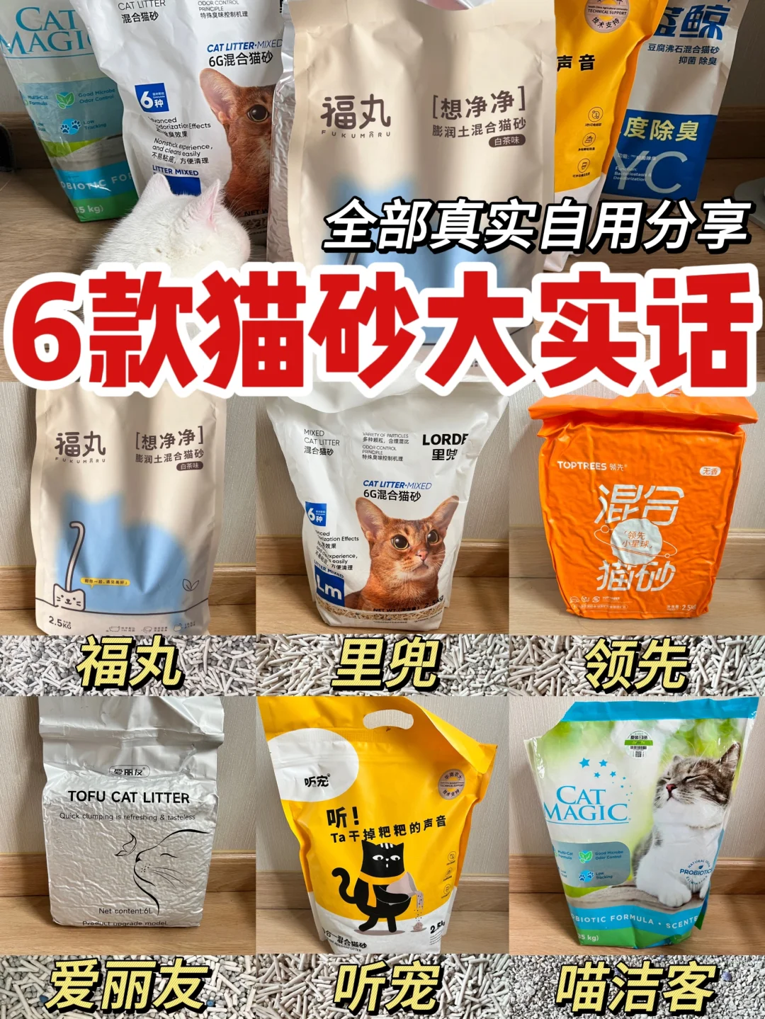 6款热门猫砂测评｜只讲大实话🔥