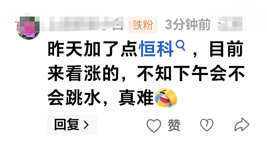 基金：昨天加了点恒生科技，目前来看是涨的，不知下午会不会跳水，真难。  这是一位