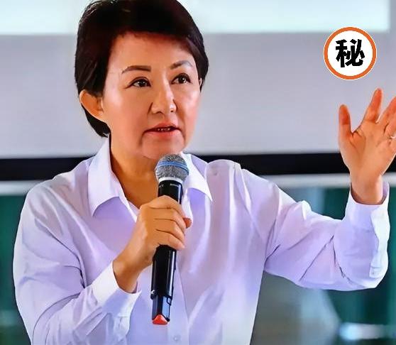 谁是当下台海最危险的定时炸弹？不是跳得最高的赖清德，
而是这个藏得最深的女人！