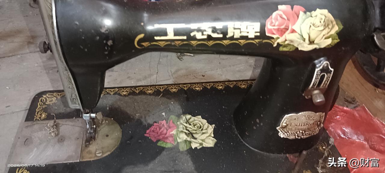 夏日生活打卡季
