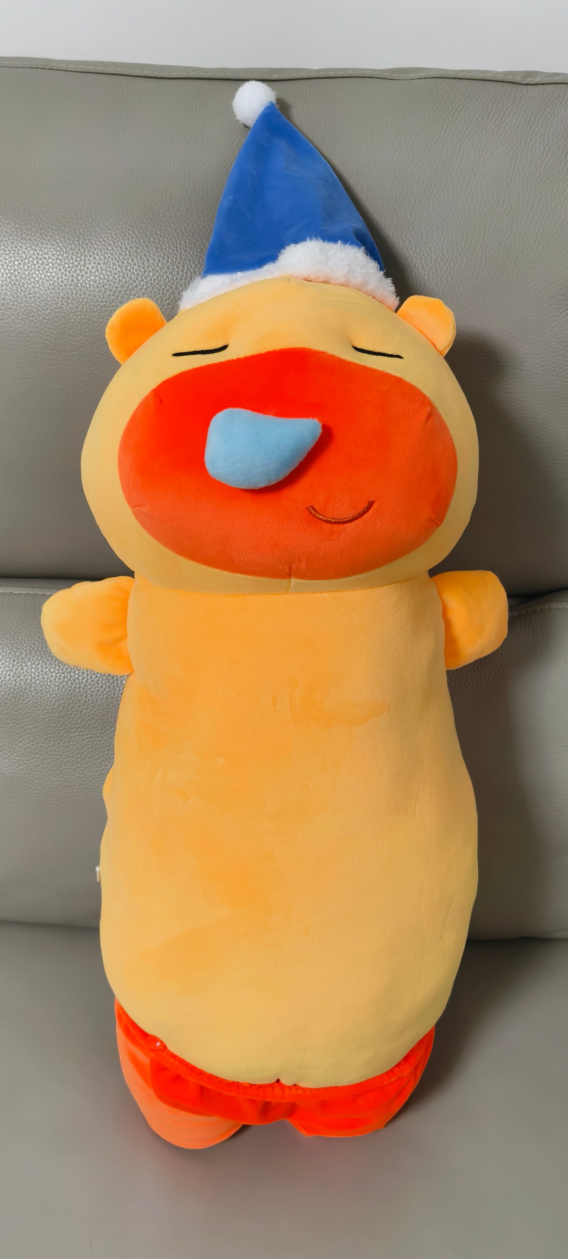 我的新噜噜 