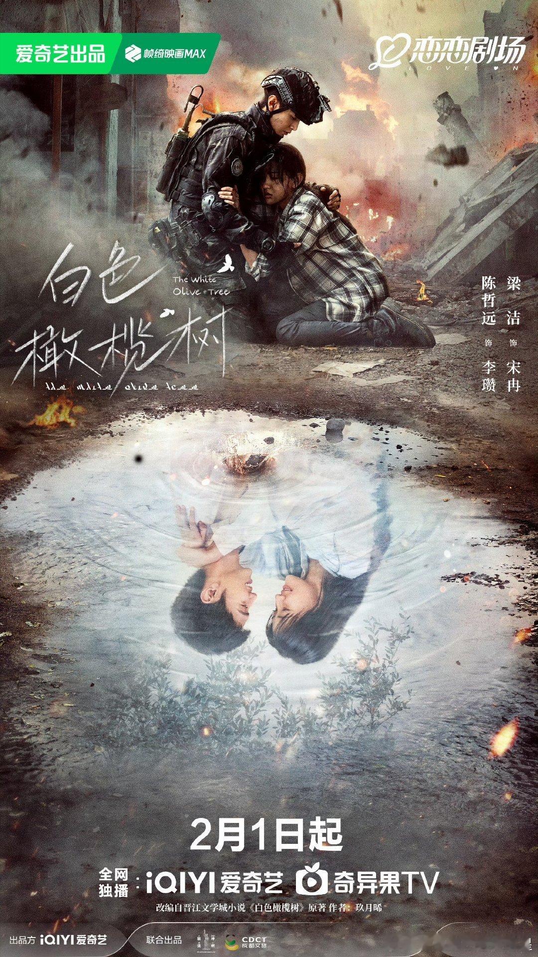 白色橄榄树今日开播 开播啦开播啦晚上可以看咯 