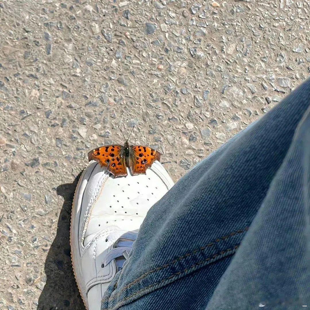 难走的路，是变好的路。 