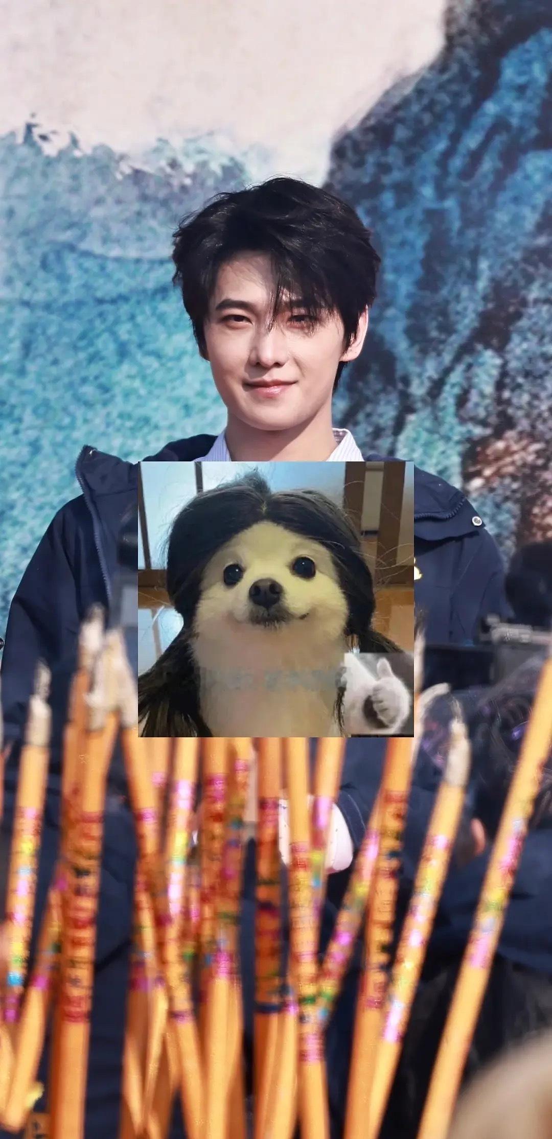 一直被大家称为不老男生的杨洋，脸上也有了岁月的痕迹了呀 