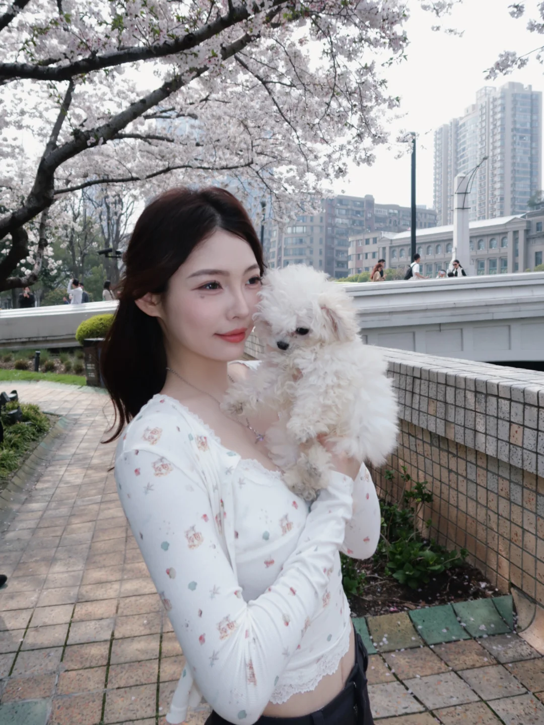 樱花树下🌸和小猪熊