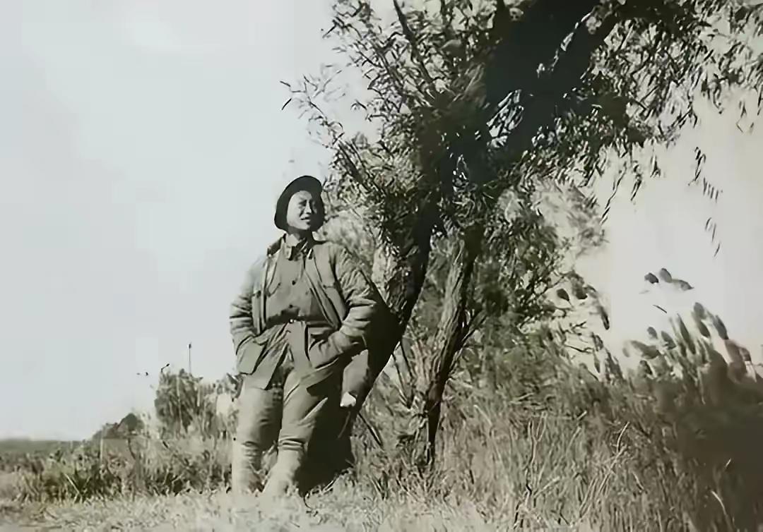 1943年春，被俘虏的国民党特务张强被押了进来，他一眼扫过屋子，突然伸手指着林晚