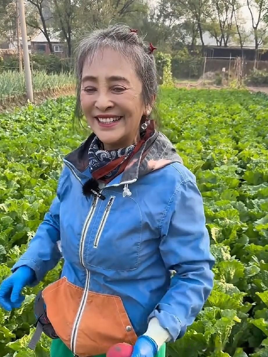 演员李勤勤在视频中带领大家观看了她家的菜园，她的菜园子面积挺大的，主要种的是白菜