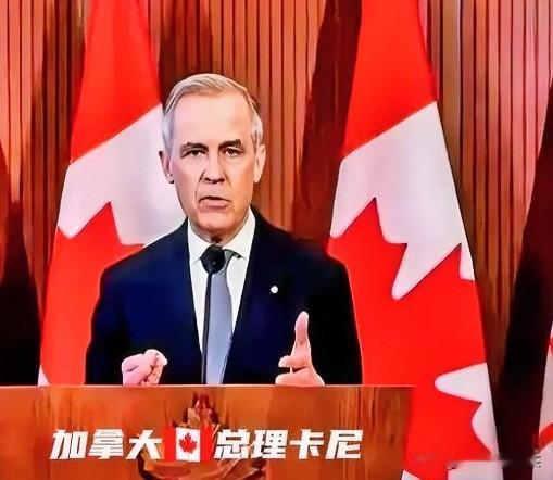 不给美国留面子！

加拿大总理卡尼这次是真敢叫板！面对美国财长放风让他撤回达沃斯
