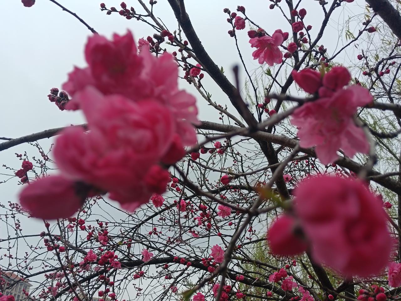 横店影视城，秦王宫宏伟之宫，深深印在人们的脑海。