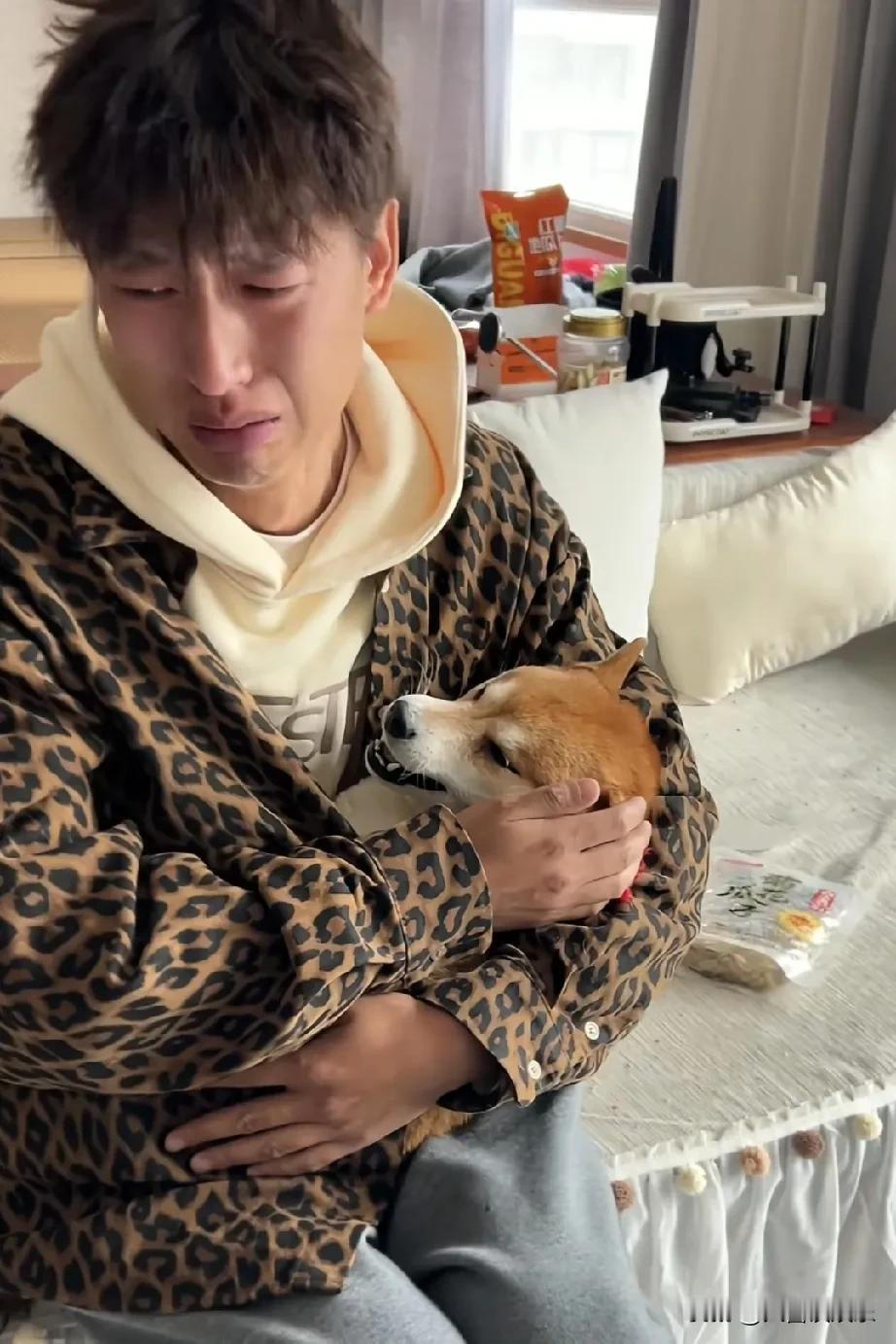 网红狗小柴佩奇被害离世，主人悲痛万分。

网友在线支招，希望找到害狗的凶手。
狗