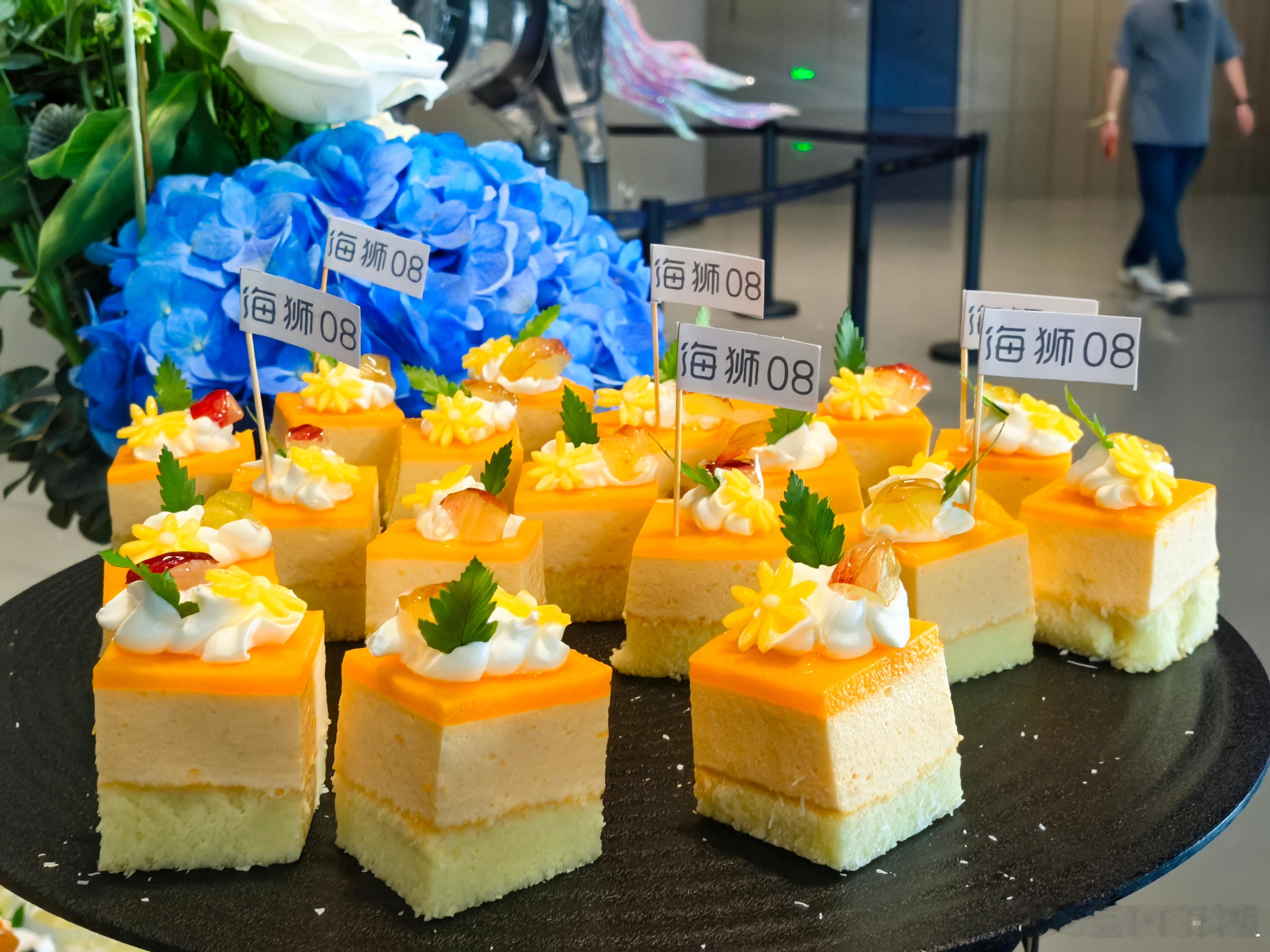 阔境自从容​16:00海狮 08 就要正式上市咯王阳这气质真好，跟这台车很搭[d