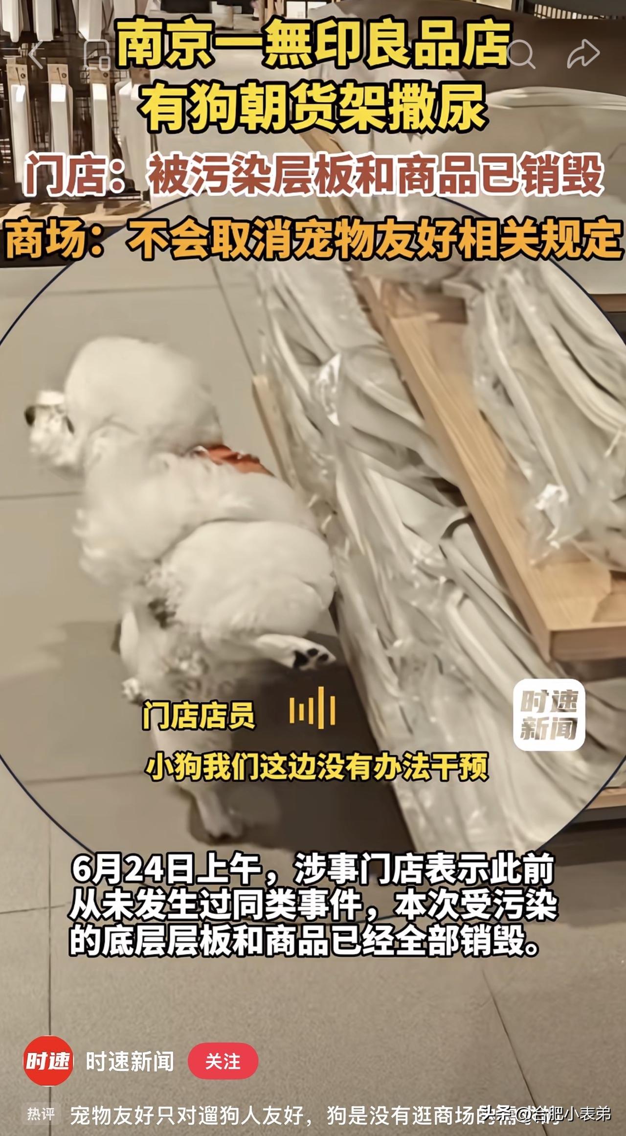 又来一起“宠物友好”！
南京城北万象汇无印良品，没牵绳泰迪直接对着货架尿尿，污渍