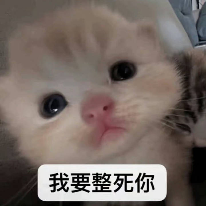 李晨郑恺回应争议老叔真是闹麻了呀怀念初代的视频是谁逼你发的啊？自己在那默默吃了一