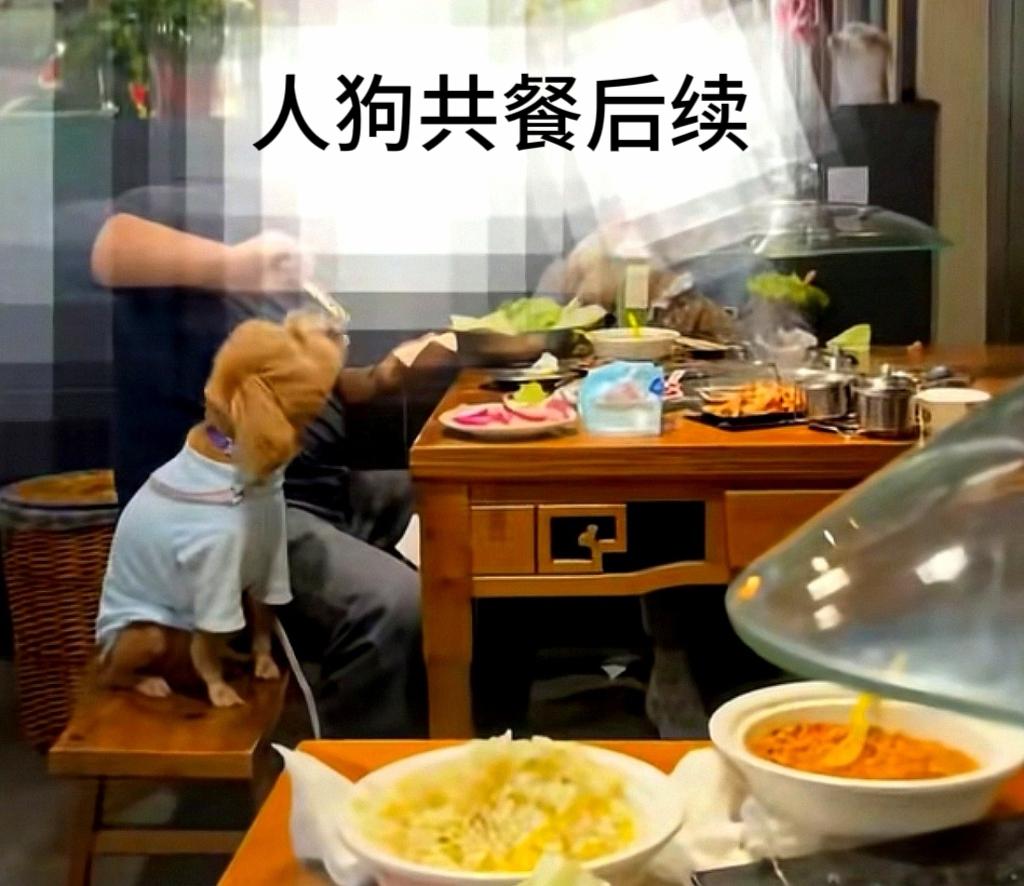 4月5日，安徽马鞍山军民路民记炭火烤肉店“人狗共餐”后续来了。
涉事烤肉店负责人