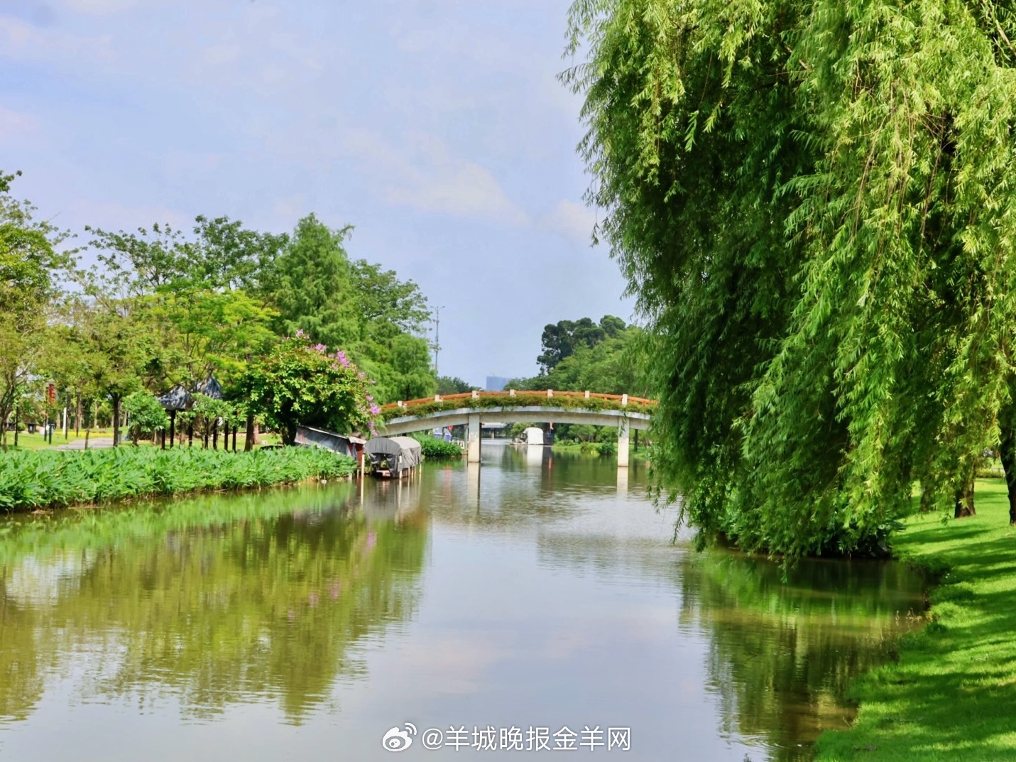 #早安#积极去寻找快乐的源泉，抓住身边的点滴美好，就能让日常生活开出花来。 ​​