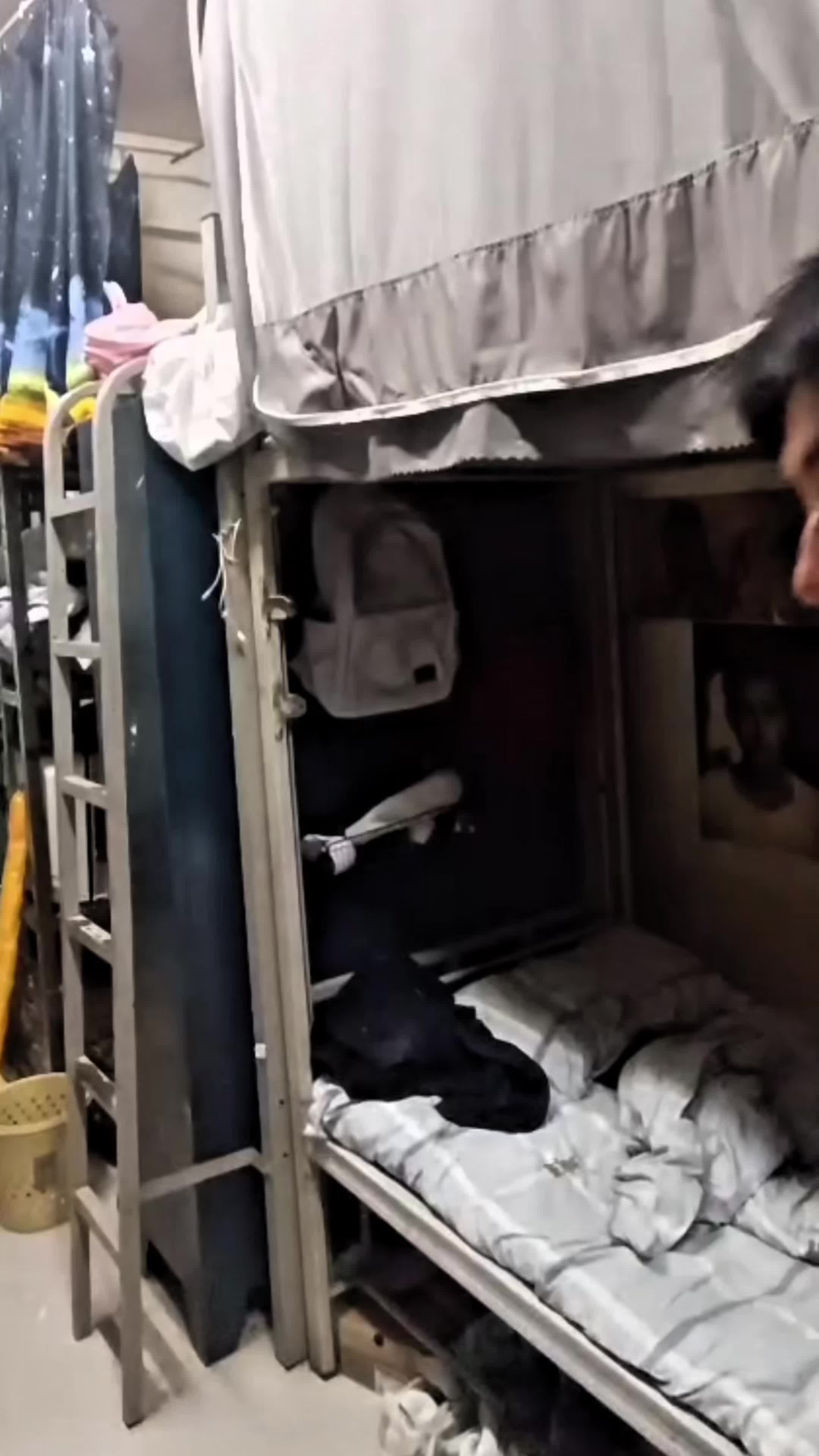 感谢各位的见证！评论区两位! 回复