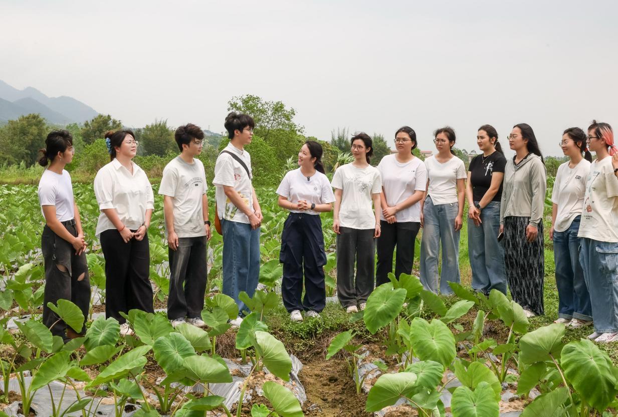 广外青年走进乳源上行走的思政课！在田野与课堂间点燃青春之火