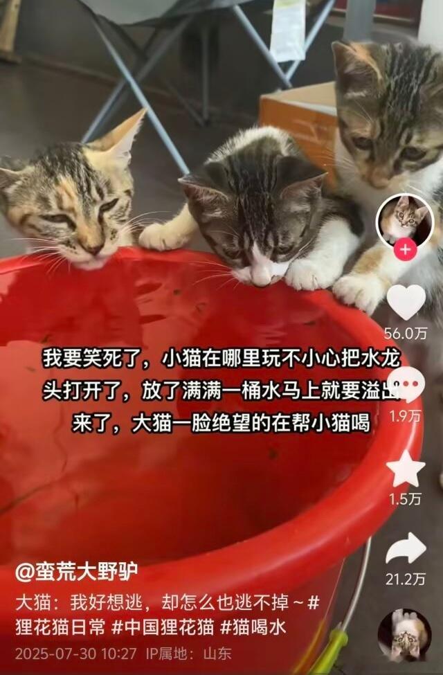 好萌 ​​​