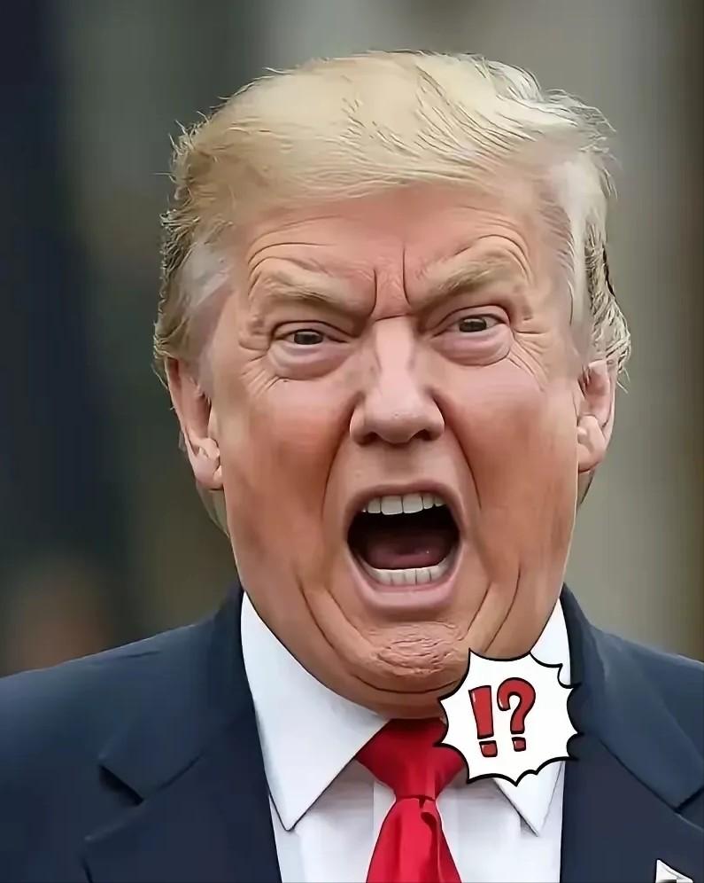 匈牙利选举新消息
4月12日，匈牙利正在选总理。可就在投票的节骨眼上，美国总统特