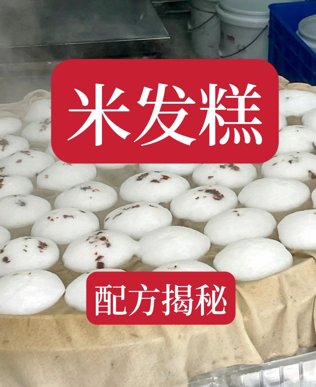 火爆大街小巷的童年记忆美食米发糕教程，好不容易才拿到的第一时间分享给大家。喜欢的...