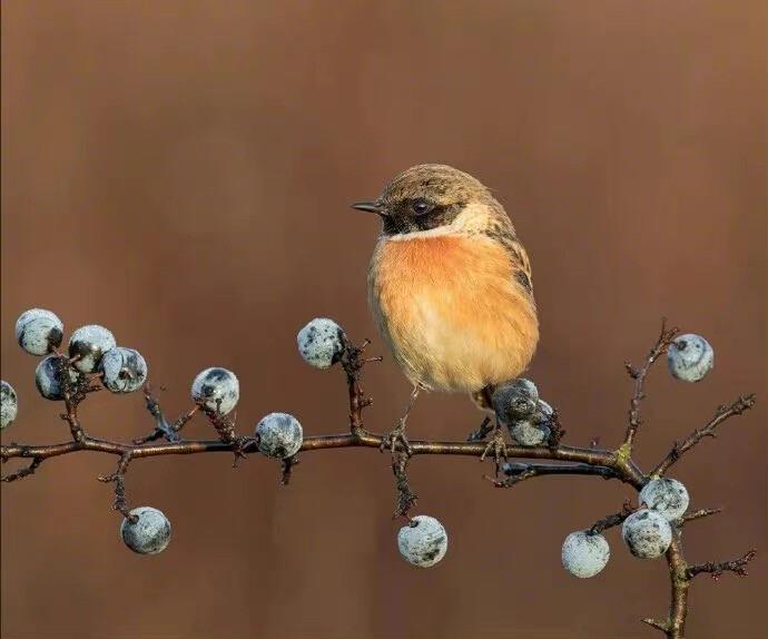 让男人第一眼就“上头”，通常不是因为完美无瑕的五官，而是一种难以言喻的综合气质。