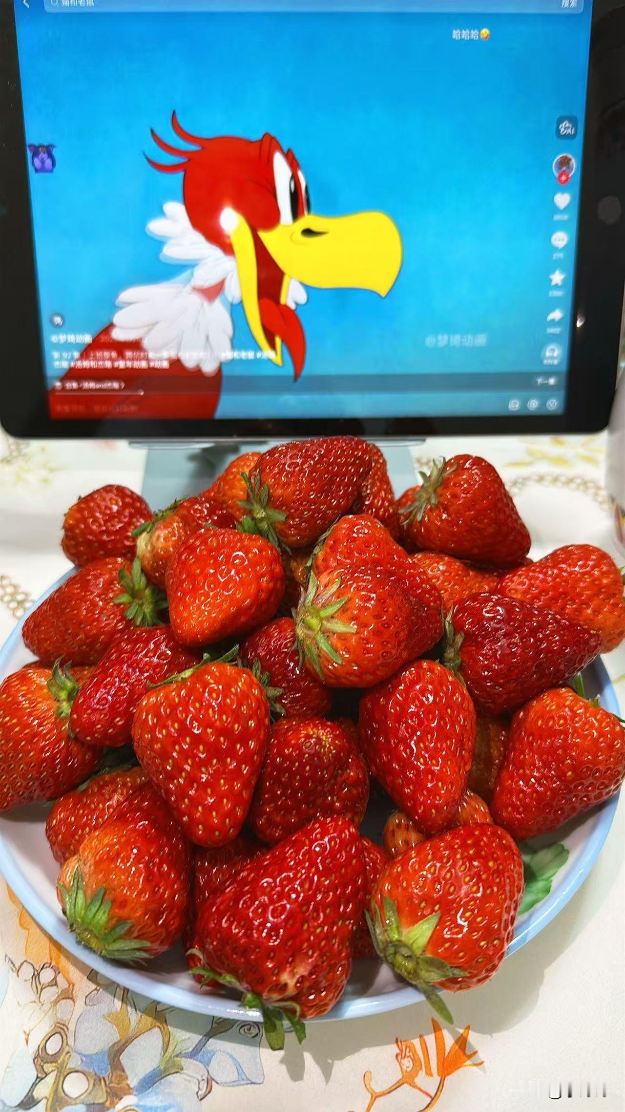 昨天听我妈说，
我三姨家的儿子已经没有工作快，有一年的时间了，天天在家躺着打游戏