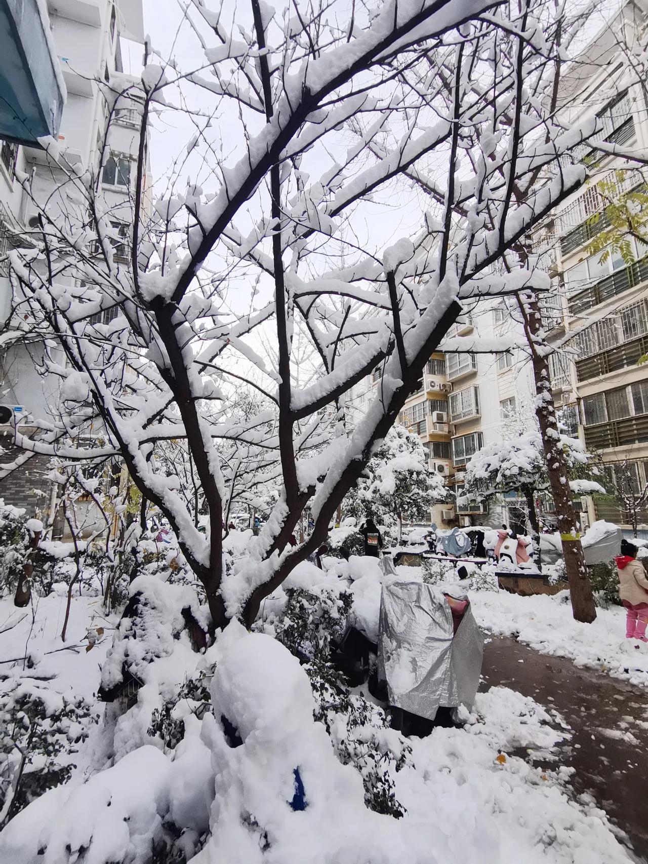 看着窗外的大雪，想起很流行的一句话:不是羽绒服买不起，是军大衣更有性价比。
真酸