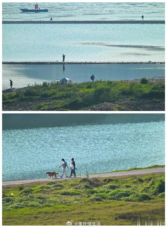 #在重庆南岸看治愈的海#【来南岸看治愈的“海” 】重庆南岸雅巴洞湿地公园、大鱼海