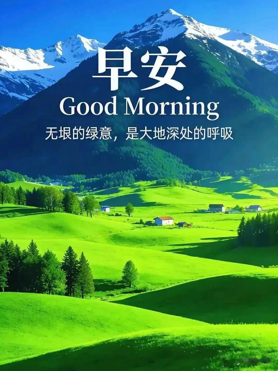 早安，不必追逐光芒，你自己就自带阳光，今天也要闪闪发光。