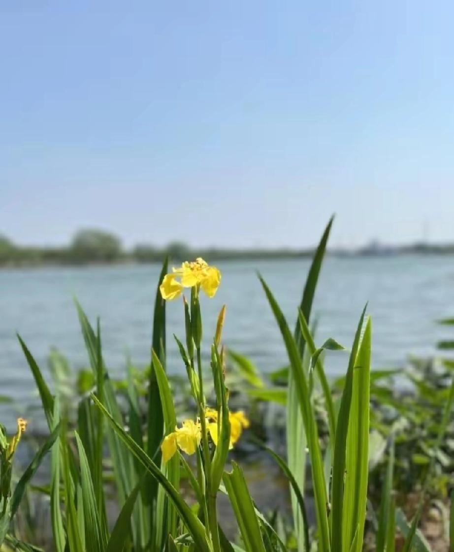 一位42岁的离婚女老板说：我前夫娶了小三之后，我才明白一个道理——男人出轨，跟我