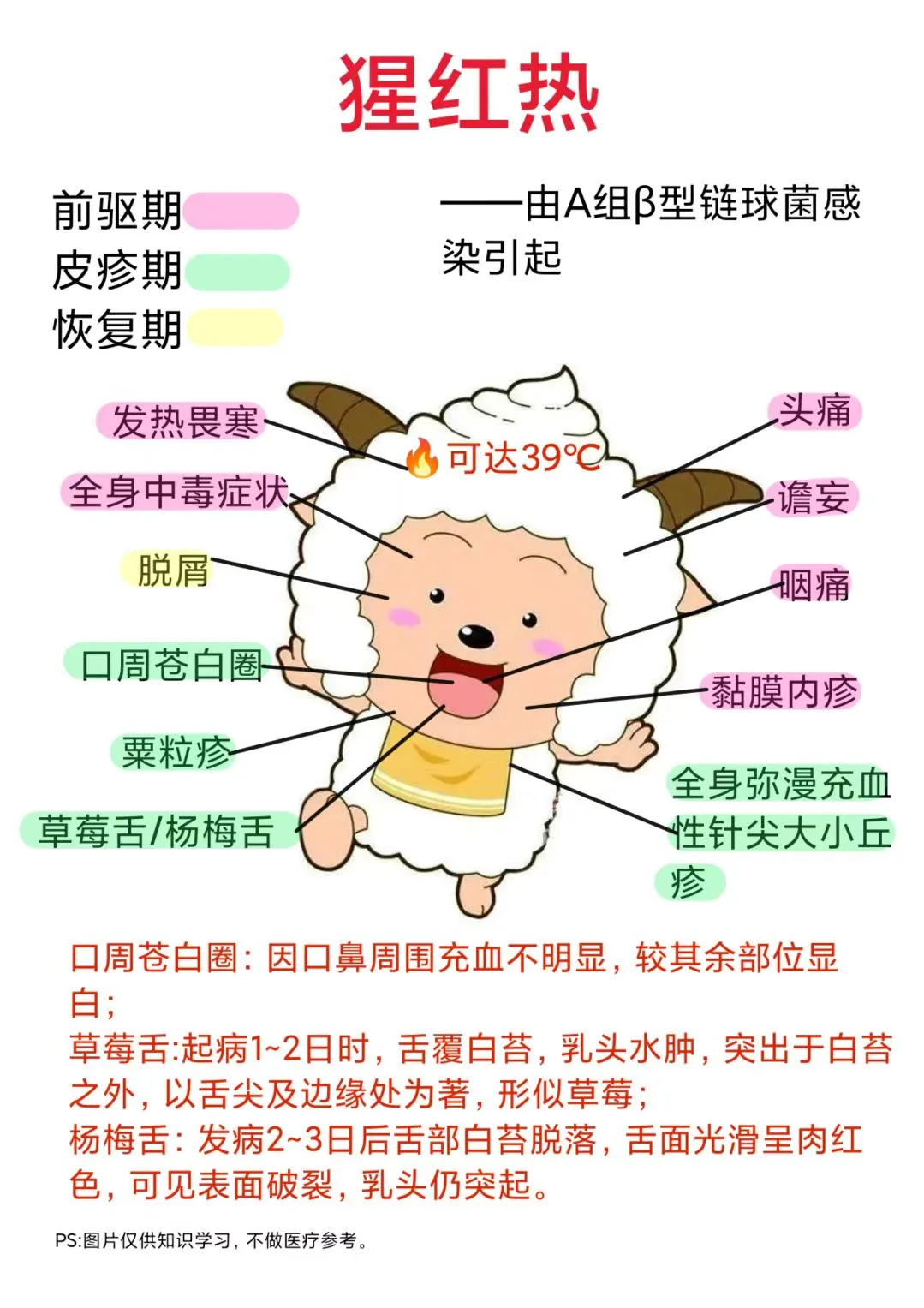 医学生笔记——猩红热
