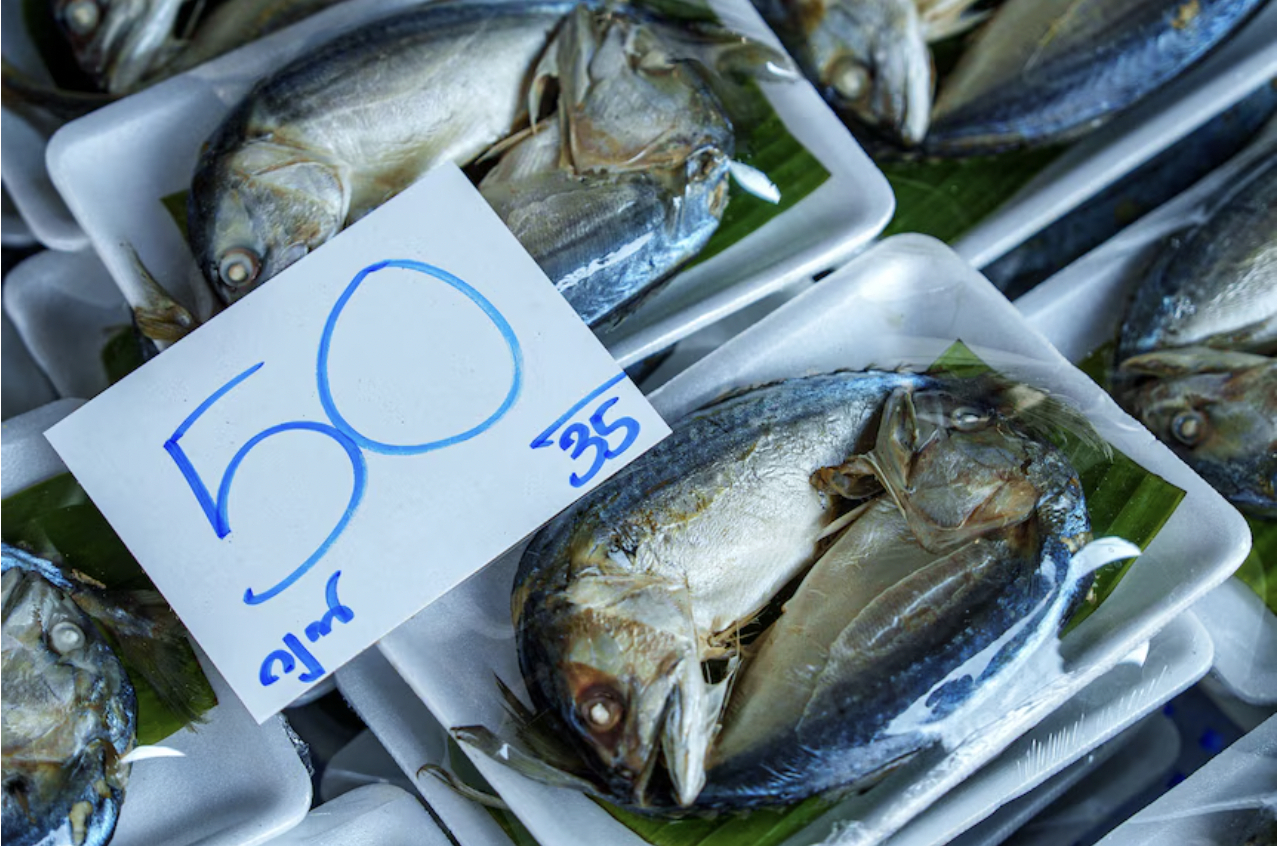 【#泰国渔业陷出海即亏本循环#  】#泰国渔业大停摆# 随着中东局势推高燃油价格