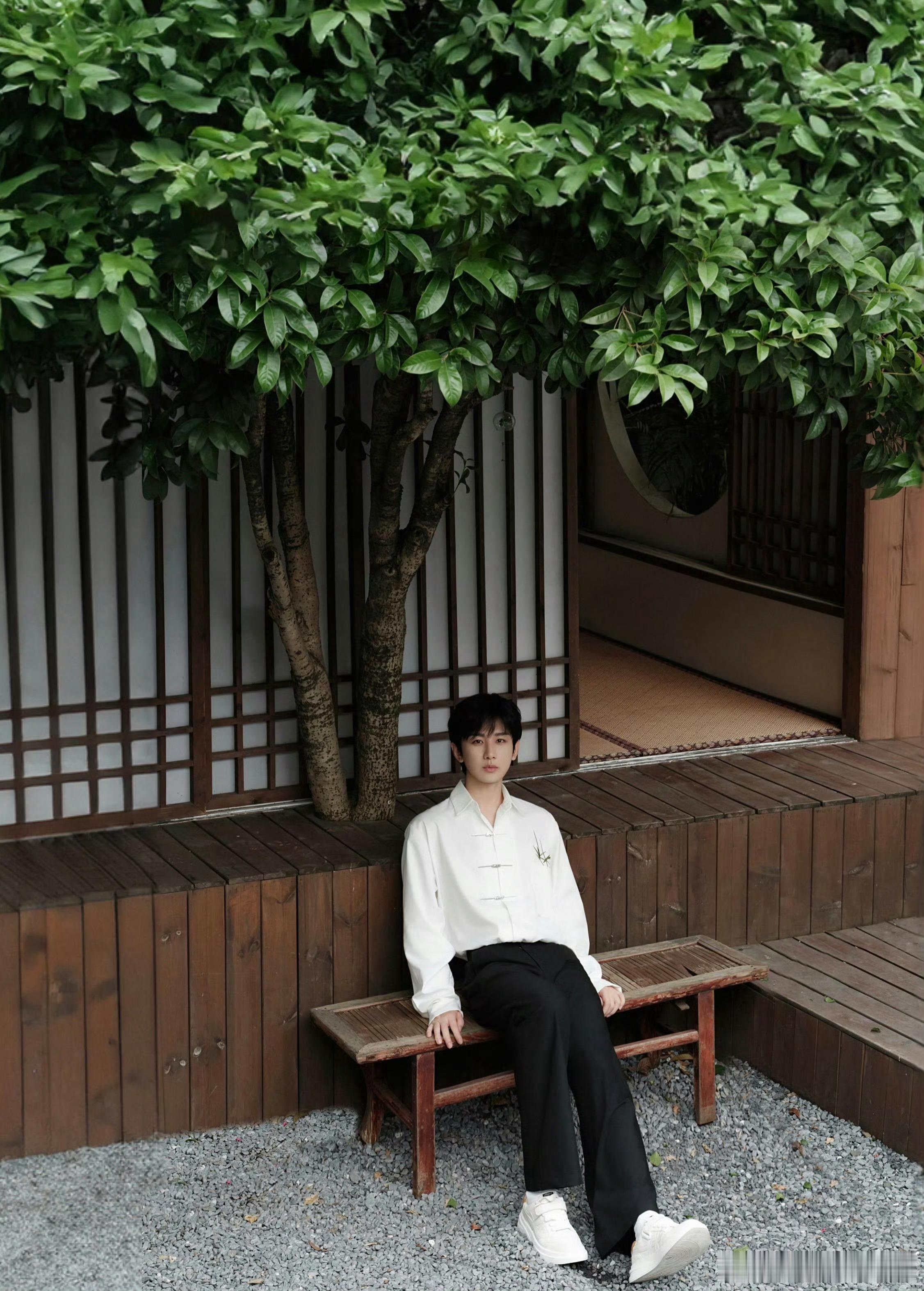 cy成毅，你是微风，是晚霞，是心跳，是无可替代。 成毅｜赴山海｜萧秋水｜李沉舟｜