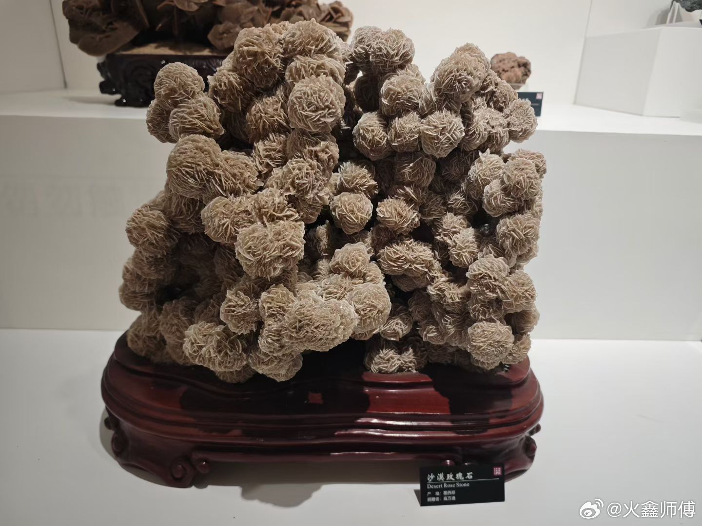 认知 《抓特务》冯某刚高举🇨🇳反🇨🇳～一定要提高警惕，冯某刚这个藏着私货